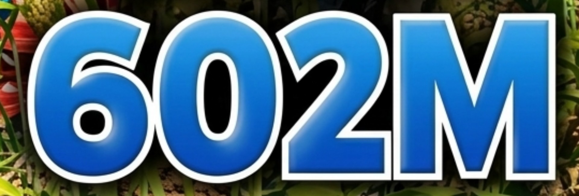  6O2M Somali DX Aktivitesi - Garowe Puntland - 5-25 Ekim 2026 40-10m